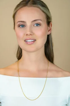 60cm ZINZI zilveren gourmet ketting gold plated. ZILC-G60G