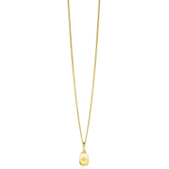 14mm ZINZI Gold 14 krt gouden hanger met rechthoekig plaatje en sterzetting witte zirkonia ZGH510 (zonder collier)