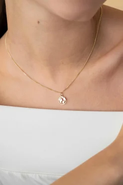 15mm ZINZI Gold 14 krt gouden hanger met wereldkaart ZGH474 (zonder collier)