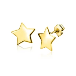5,5mm ZINZI Gold 14 krt gouden ster oorstekers 5,5mm ZGO315