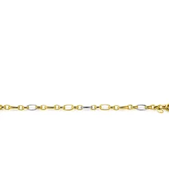 ZINZI bicolor schakelarmband (7mm breed) met afwisselend gold plated jasseron schakels en grote zilveren ovale schakels 19cm ZIA2639