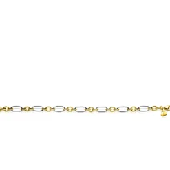 ZINZI bicolor schakelarmband 7mm breed met jasseron en ovale schakels 19,5cm ZIA2667
