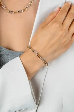 ZINZI bicolor zilveren ovale schakelarmband 6mm breed 20cm ZIA2668