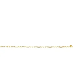 ZINZI Gold 14 karaat gouden massieve armband met vier paperclip-schakels gecombineerd met jasseron schakels 17-19cm ZGA495
