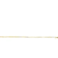 ZINZI Gold 14 krt gouden armband met trendy paperclip/closed for ever schakels 3mm breed, lengte 19cm ZGA386