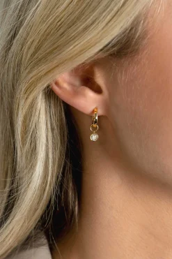 ZINZI Gold 14 krt gouden oorbedels in ronde vorm bezet met witte zirconia 5mm ZGCH421 (zonder oorringen)