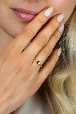 ZINZI Gold 14 krt gouden ring met glad rond plaatje ZGR554
