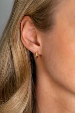 ZINZI gold plated zilveren oorringen met gedraaide buis 12 x 2mm ZIO2321G