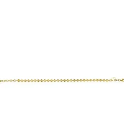 ZINZI gold plated zilveren armband met ronde schakels zonnestralen 4,3mm breed ZIA2272G