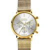 ZINZI horloge CHRONOGRAPH 34mm zilverkleurige wijzerplaat met datum en chronometers, geelgoudkleurige stalen kast, geelgoudkleurige stalen mesh band 18mm ZIW1533