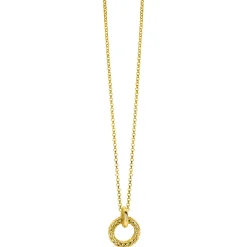 ZINZI zilveren hanger extra 14K geel verguld rond met touweffect 19mm ZIH2246G (zonder collier)