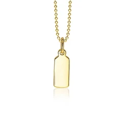ZINZI zilveren hanger geel verguld glad rechthoek ZIH2344G (zonder collier)