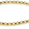 ZINZI zilveren jasseron armband geel verguld 5mm breed 19cm ZIA1009G