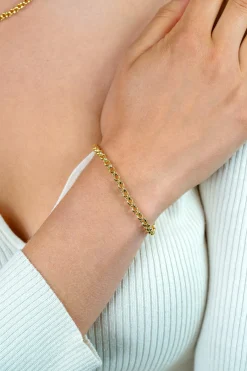 ZINZI zilveren jasseron armband geel verguld 5mm breed 19cm ZIA1009G