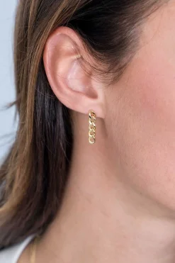 ZINZI zilveren oorhangers 14K geel verguld 20mm gourmet schakels ZIO2185G
