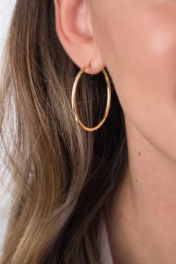 ZINZI zilveren oorringen geel verguld 45x2mm ZIO436G