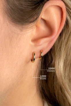 ZINZI zilveren oorringen geel verguld 12 x 2mm ZIO194G