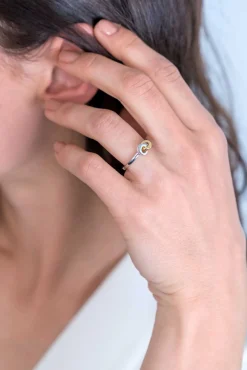 ZINZI zilveren ring ronde vormen met elkaar verbonden witte zirconia's ZIR2102